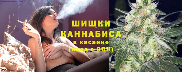 ПСИЛОЦИБИНОВЫЕ ГРИБЫ Алексин